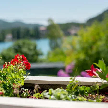 House For Rest And Recreation Tatil Evi *