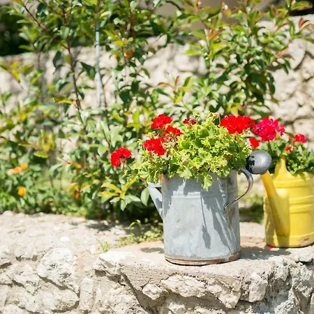 House For Rest And Recreation Tatil Evi